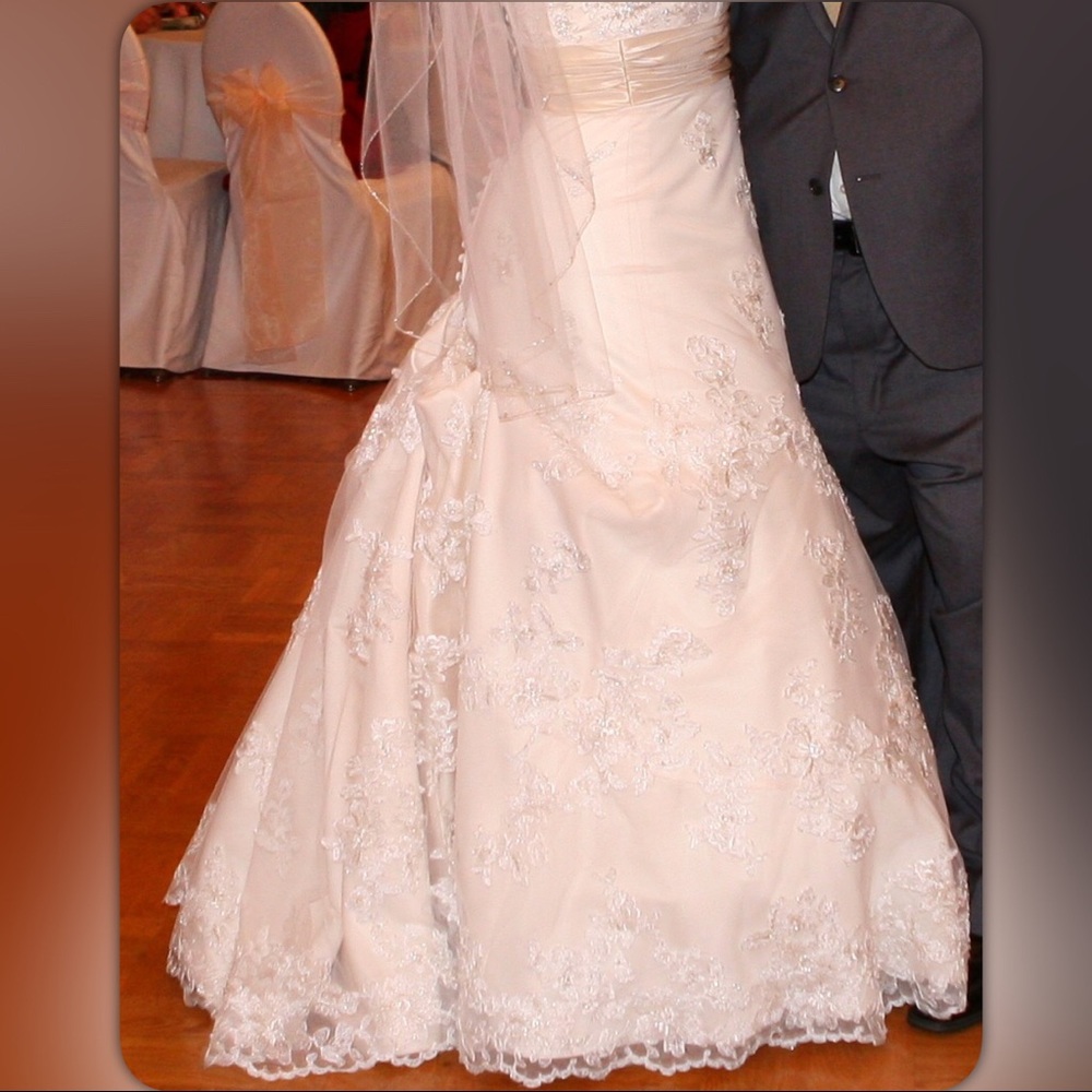 Alfred Angelo Wedding Gown - Picture 4 of 8